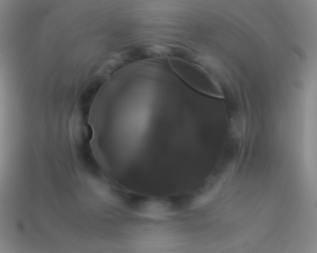 X0000113600223200910161913