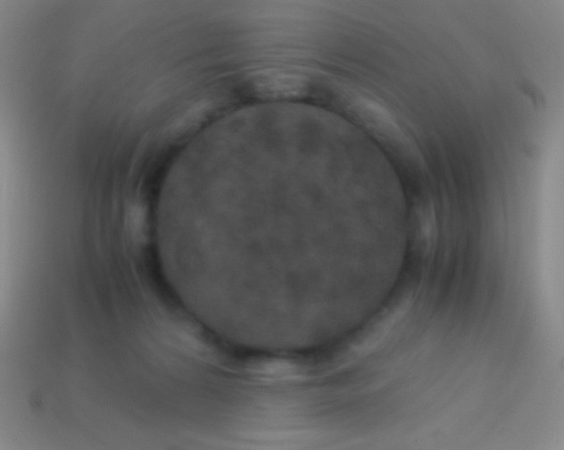 X0000113600224200910161913