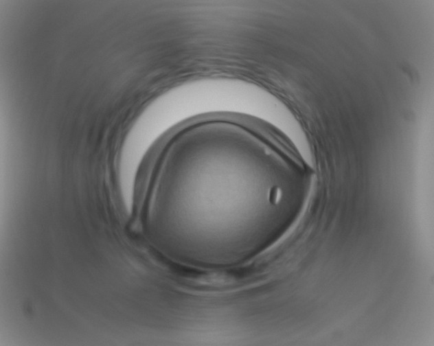 X0000113600225200910161913