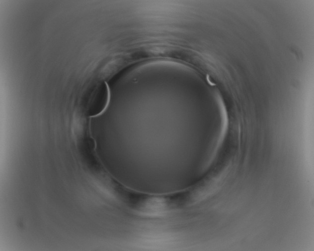 X0000113600227200910161913