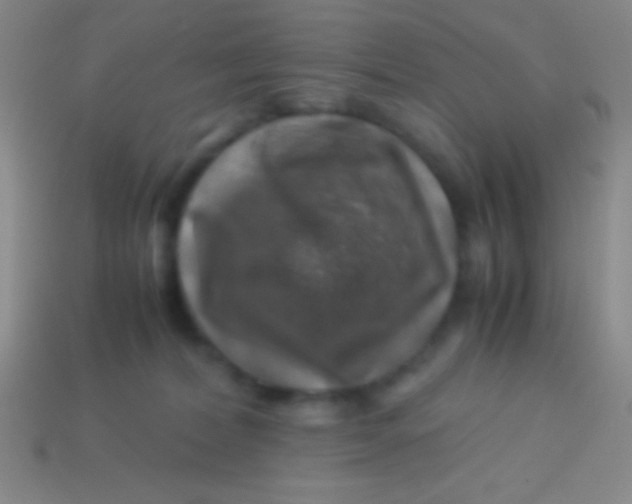 X0000113600228200910161913