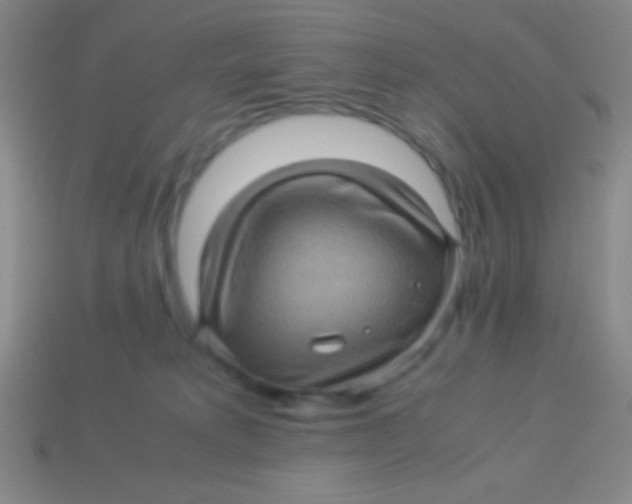 X0000113600229200910161913