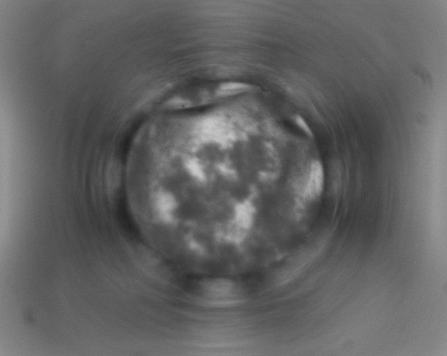 X0000113600230200910161913