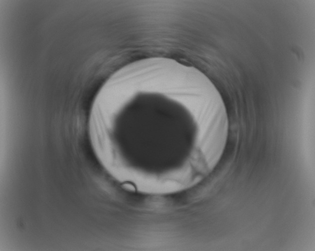 X0000113600231200910161913