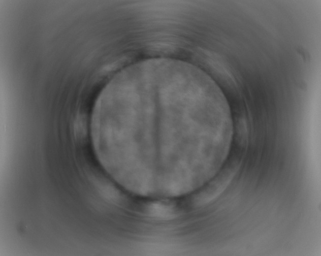 X0000113600232200910161913