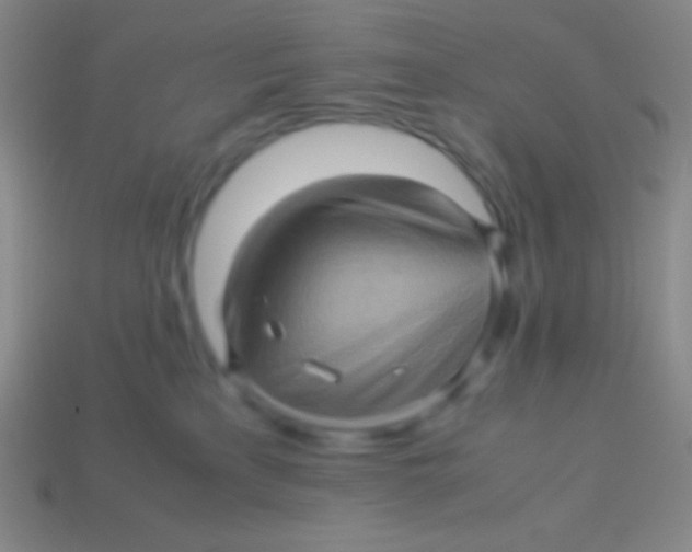 X0000113600233200910161913