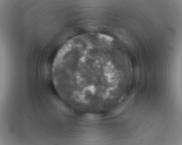 X0000113600234200910161913