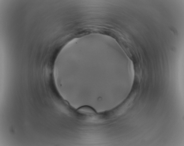 X0000113600235200910161913