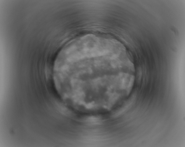 X0000113600236200910161913