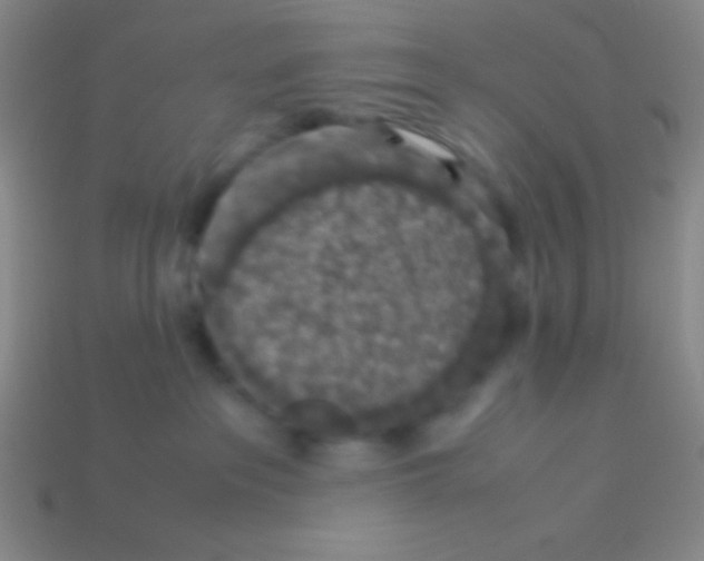 X0000113600237200910161913