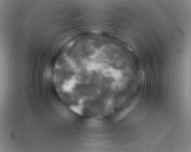 X0000113600238200910161913