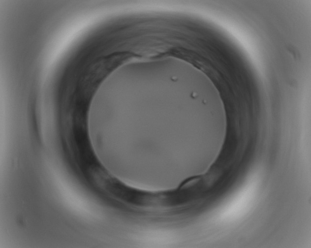 X0000113600239200910161913