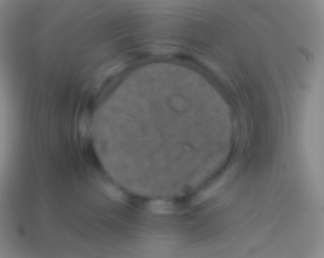 X0000113600240200910161913