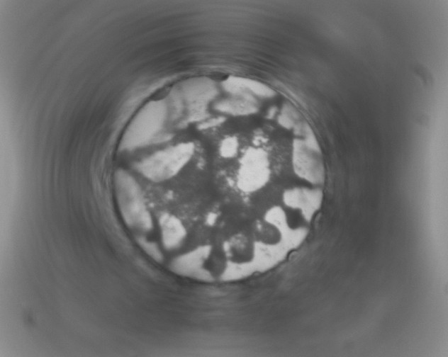 X0000113600241200910161912