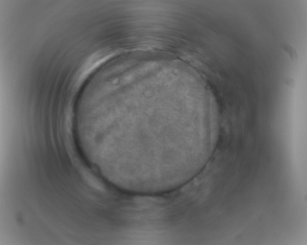 X0000113600242200910161912