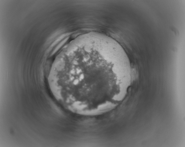 X0000113600243200910161912