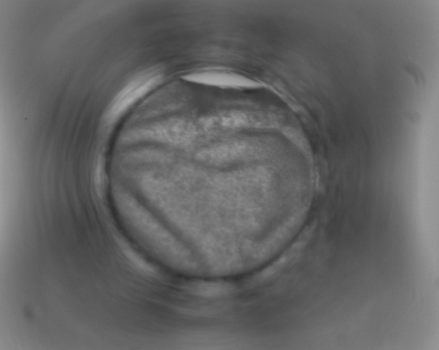 X0000113600245200910161912