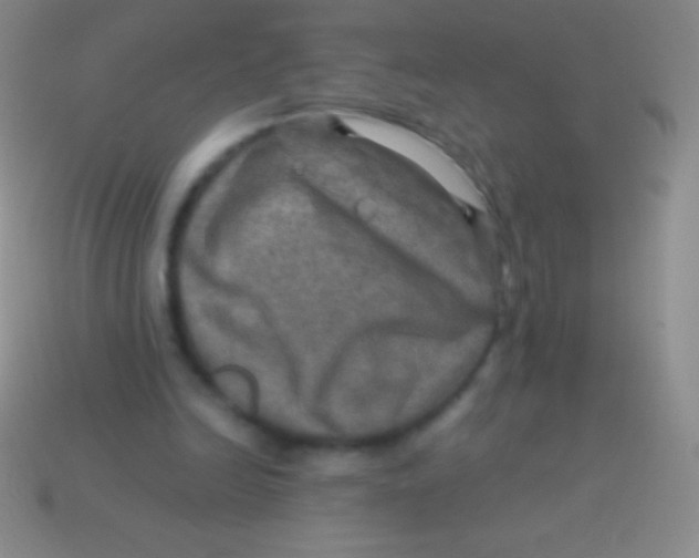 X0000113600246200910161912