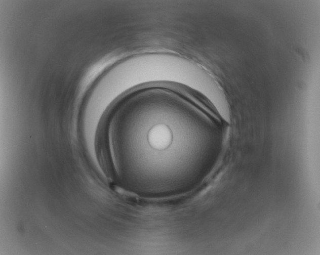 X0000113600248200910161912