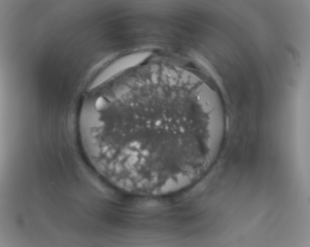 X0000113600249200910161912