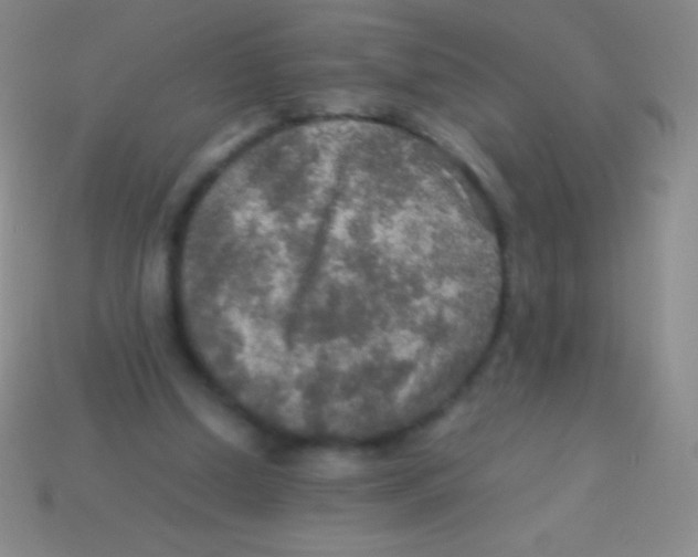 X0000113600250200910161912