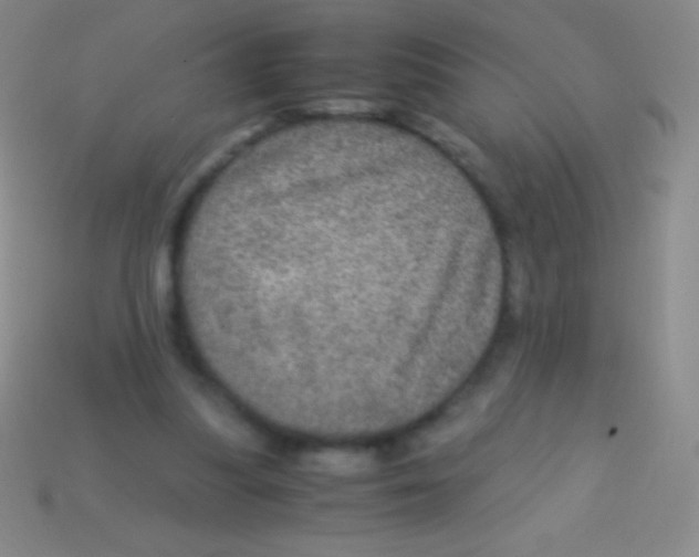 X0000113600251200910161912