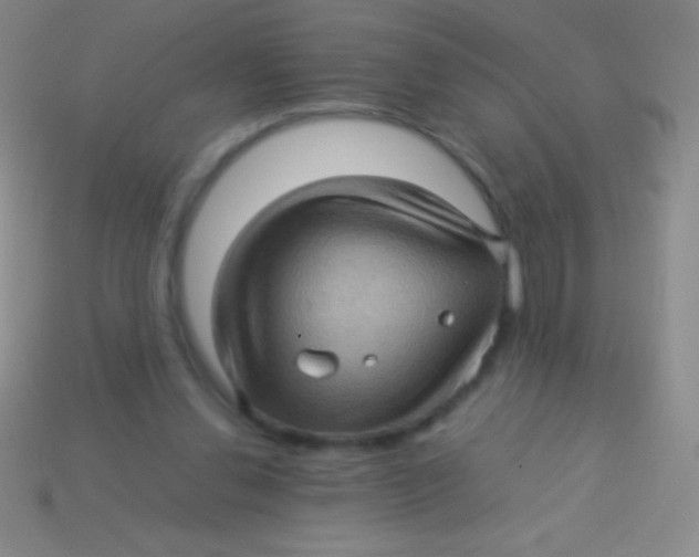 X0000113600252200910161912