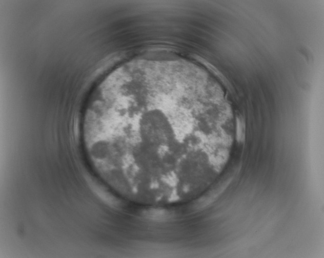 X0000113600253200910161912