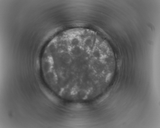 X0000113600254200910161912