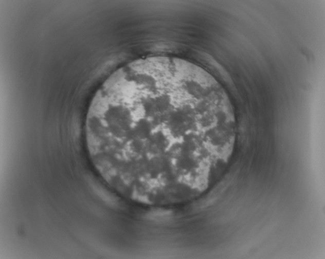 X0000113600257200910161912