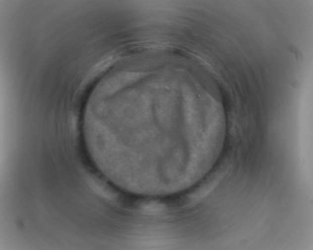 X0000113600258200910161912