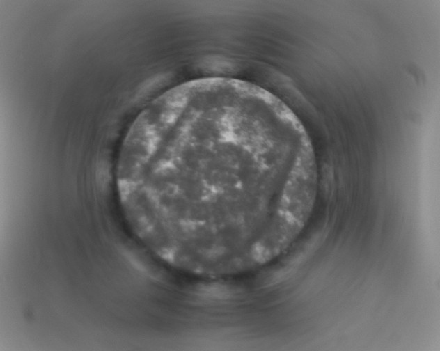 X0000113600259200910161913