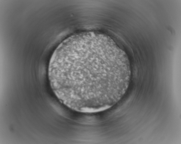 X0000113600260200910161913