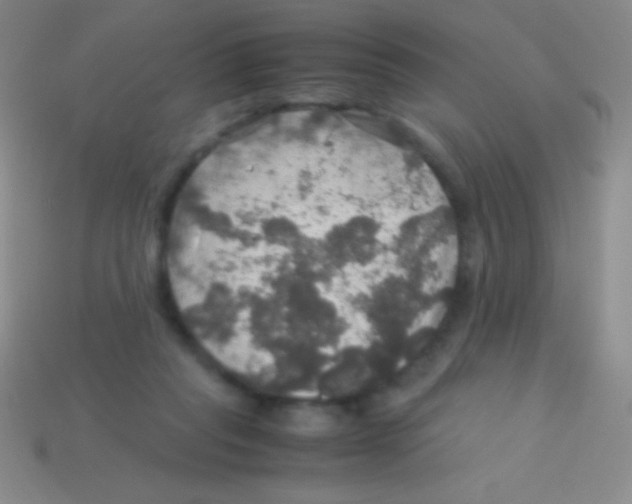 X0000113600261200910161913