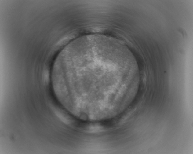 X0000113600262200910161913