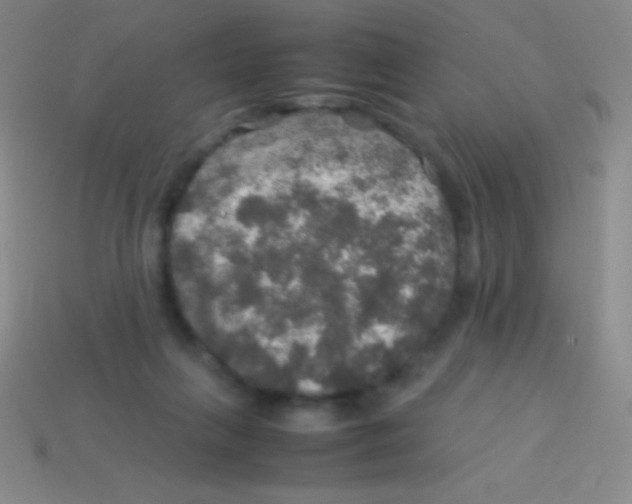 X0000113600263200910161913