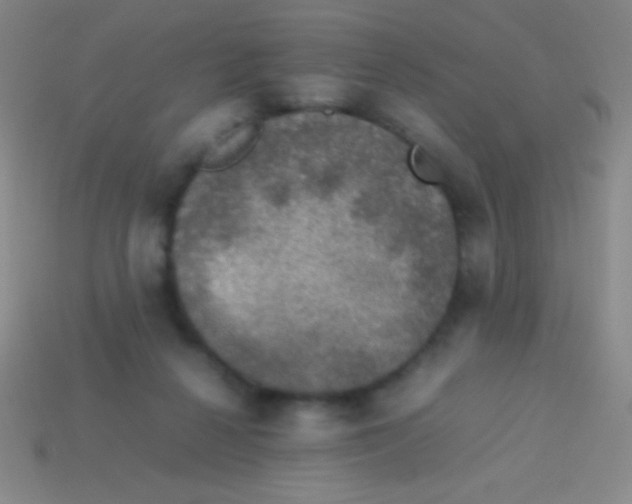 X0000113600264200910161913