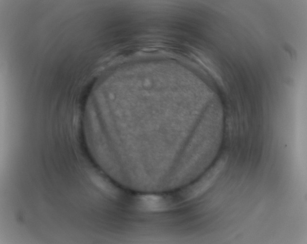 X0000113600265200910161913