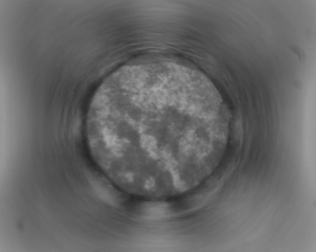 X0000113600266200910161913