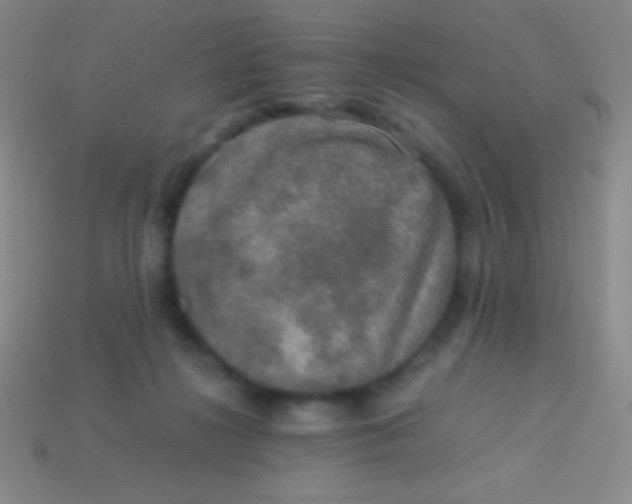 X0000113600268200910161913