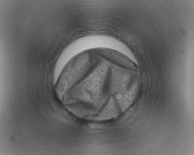 X0000113600272200910161913