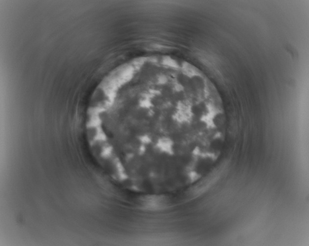 X0000113600273200910161913