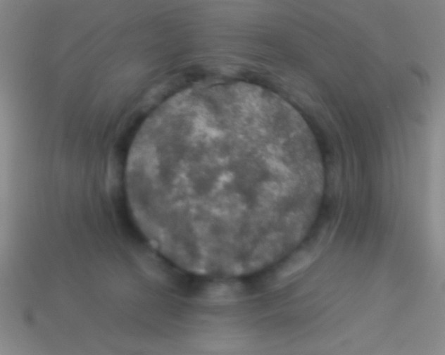 X0000113600274200910161913