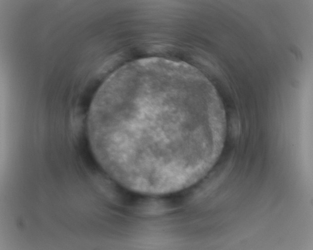 X0000113600276200910161913