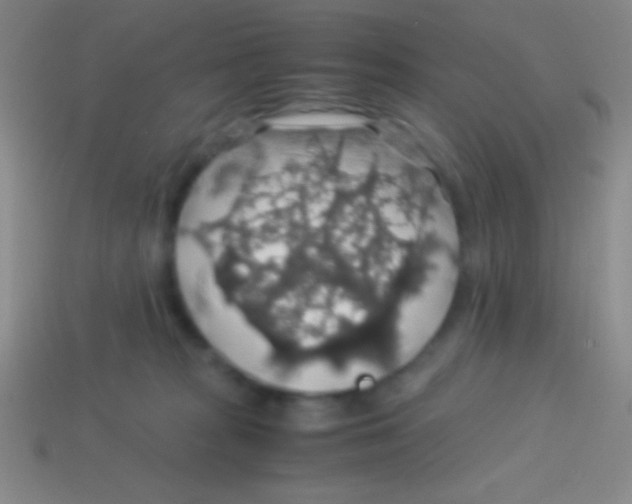 X0000113600277200910161913