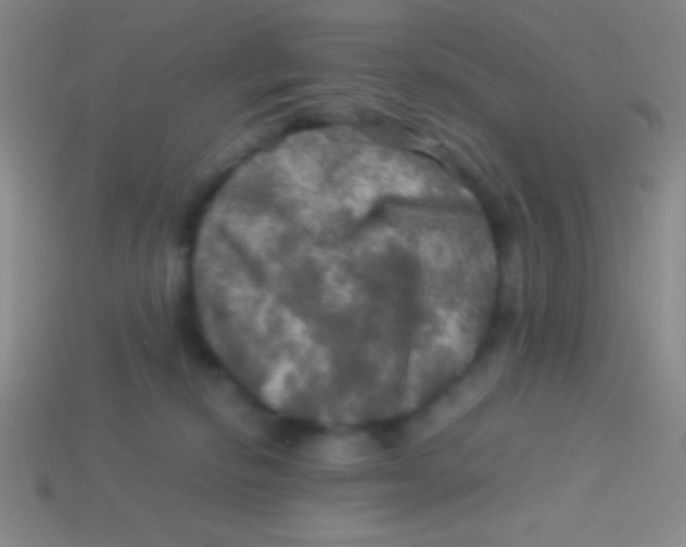 X0000113600278200910161913