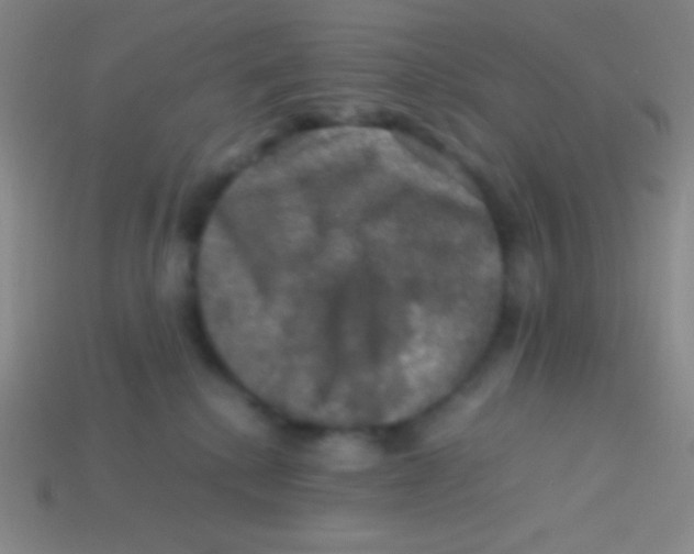 X0000113600280200910161913