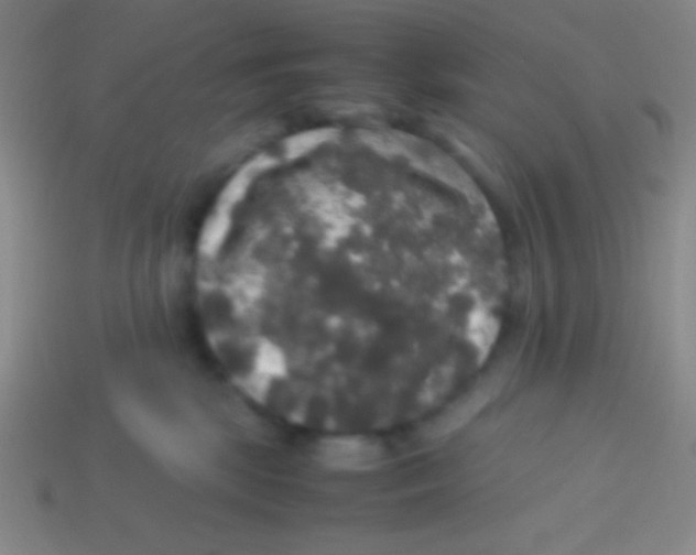 X0000113600281200910161913