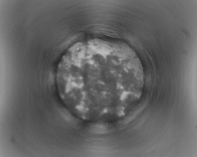 X0000113600282200910161913