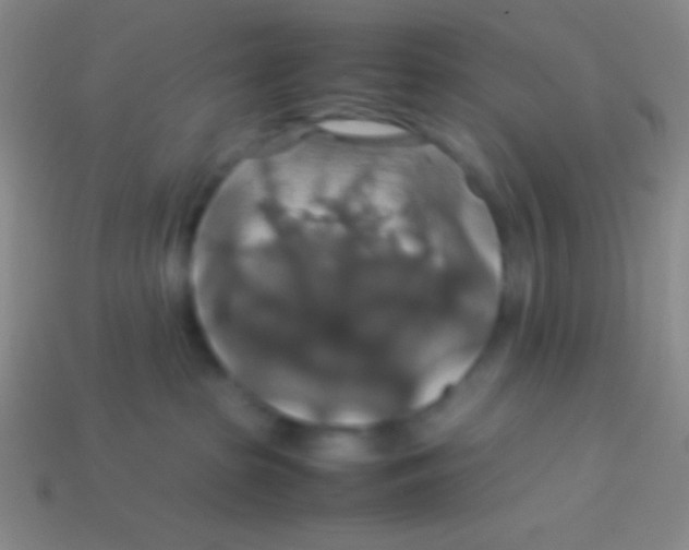 X0000113600285200910161913